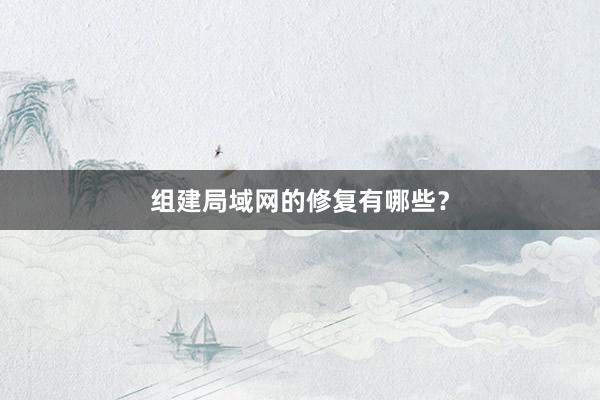 组建局域网的修复有哪些？