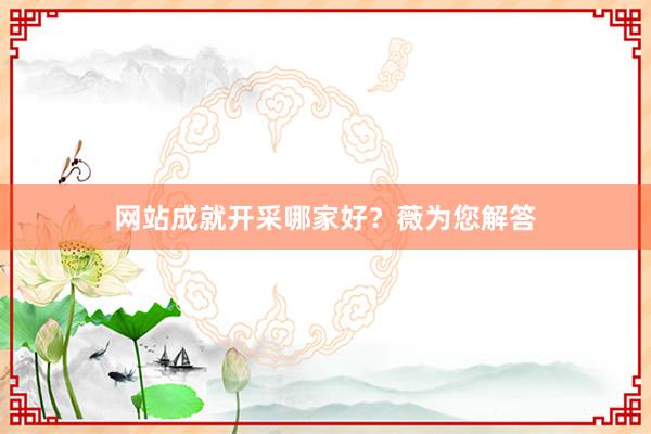 网站成就开采哪家好？薇为您解答