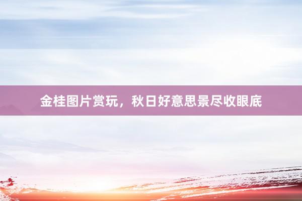 金桂图片赏玩，秋日好意思景尽收眼底