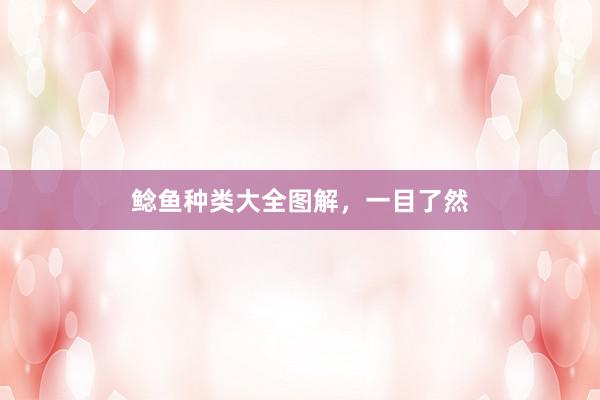 鲶鱼种类大全图解，一目了然