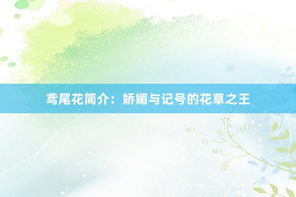 鸢尾花简介：娇媚与记号的花草之王